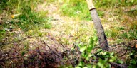 Court Documents: Missouri man threw machete at neighbor over contested property line