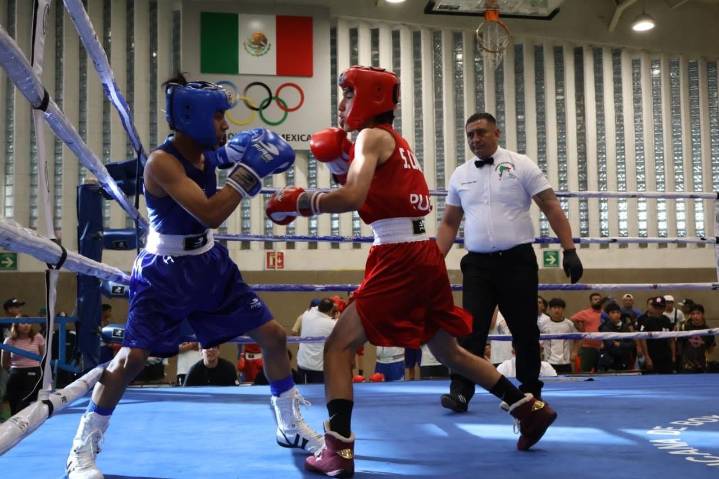 Titanes consiguen preseas en Festival Olímpico de Boxeo