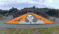 Farm honors late heavy metal icon Ozzy Osbourne with mural made of hundreds of pumpkins 