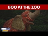 Family-friendly Halloween fun returns at The Bronx Zoo's annual 'Boo at the Zoo' event