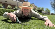 Does the self-confessed Lawn Man have the secret to the best turf in the west?