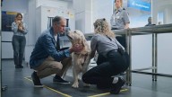 Giro de 180º en las aerolíneas: el cambio que te va a afectar si viajas con tu mascota y la UE lo confirma