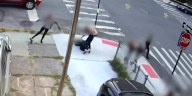 Video muestra brutal golpiza a niña hispana mientras paseaba a su perrito, al que también patearon