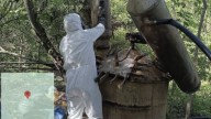 Desmantelan tercer narcolaboratorio en territorio de Los Mayos en Durango