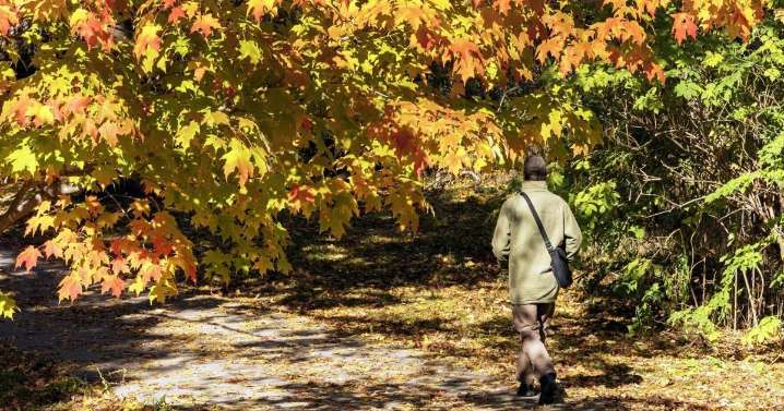October heat in L.A. ☀️ vs. Cozy fall in Toronto 🍂