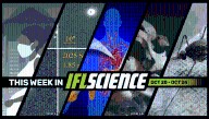 Potential Environmental Trigger For Autism Identified, 3I/ATLAS's Tail Appears To Have Changed Direction, And Much More This Week