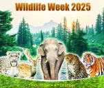 Wildlife Conservation in Jammu & Kashmir