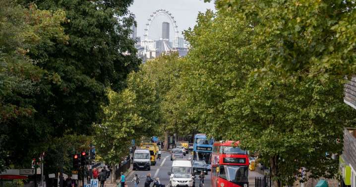 I visited 'world's coolest neighbourhood' in London