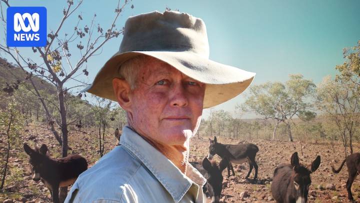 State Administrative Tribunal upholds donkey cull notice at remote Kachana Station in the Kimberley