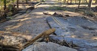 'Significant damage' forces closure of Dixie National Forest recreation area