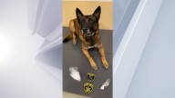 Catskill man accused of having over 2 oz of cocaine