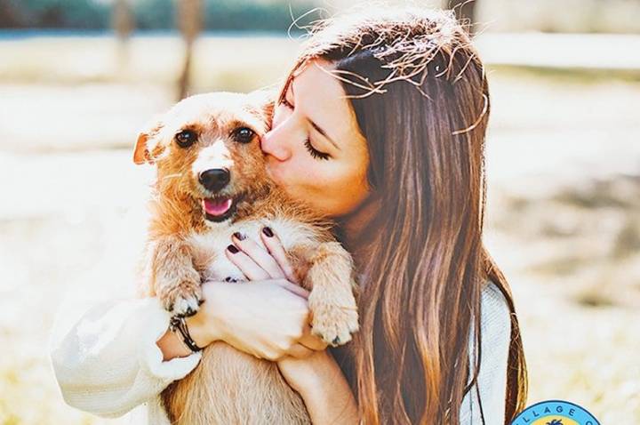 Village program offering pet adoption assistance
