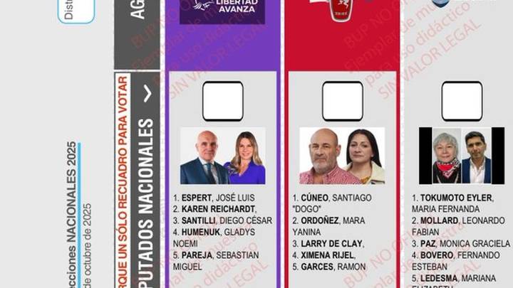 Falló la Cámara Nacional Electoral y la boleta de LLA llevará la cara de Espert