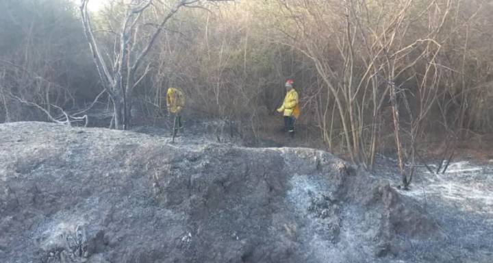 Bomberos al ataque: Lograron sofocar varios incendios en distintos puntos de la ciudad
