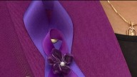 Impact of financial stress on domestic violence