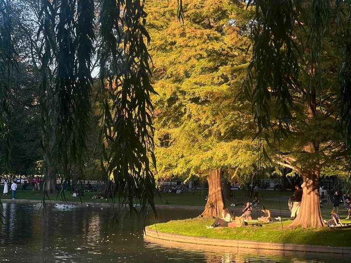 Qué está abierto y cerrado en Massachusetts el lunes de Columbus weekend