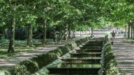 Los beneficios de plantar árboles en Cáceres: reducen la temperatura entre 2 y 8 grados