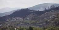 La Xunta de Galicia da luz verde a más ayudas para paliar los daños de los fuegos
