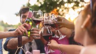 Scientists discover wine's impact on gut bacteria and mouth feel effects