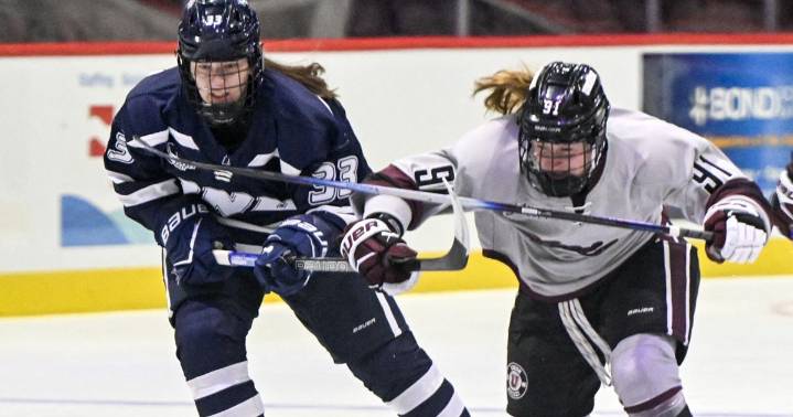 New Hampshire rallies to hand Union women's hockey its first loss of the season