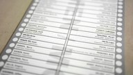 MPs grill long ballot organizer during tense committee meeting