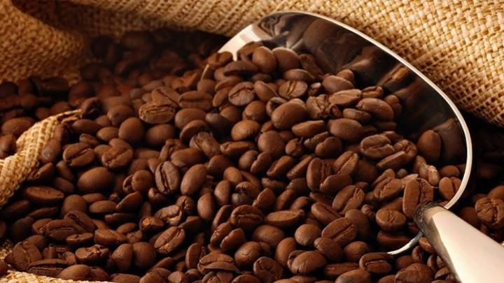 Producción de café venezolano se mantiene en niveles altos