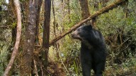 Peligra el agua de Colombia, alerta Corpoguavio