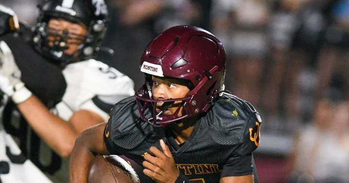 2025 IHSA football playoff pairings: First-round information for Suburban Life area teams – Shaw Local