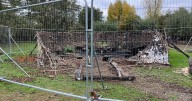 Rebuild of burnt-down roundhouse begins at popular ancient site