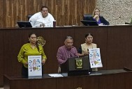 Enfrentamiento de diputados en tras propuesta por la tarifa eléctrica en Yucatán