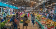 IPC de septiembre marcará un nuevo tropiezo de la inflación en su camino a la meta, dicen analistas