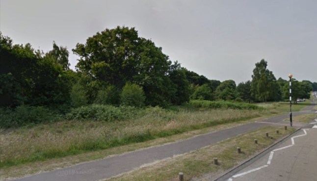 Manhunt for rapist after teenage girl attacked walking home alone through park