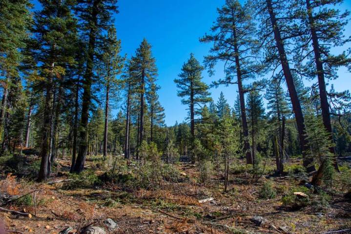 Funding from Yuba Water supports critical wildfire resilience efforts and water supply infrastructure upgrades in Yuba County