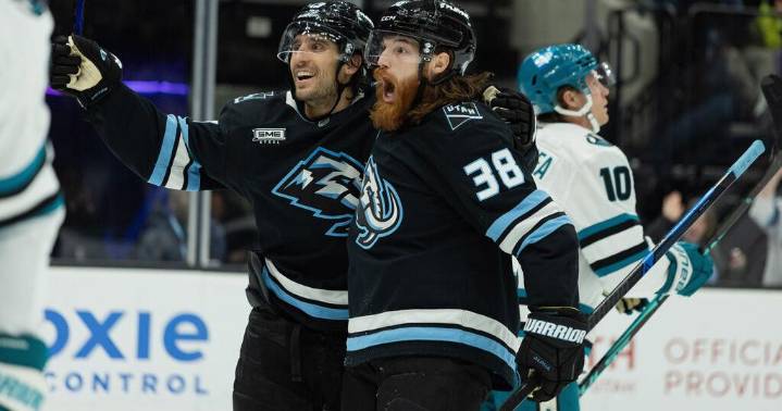 Schmaltz gets second career hat trick for first three goals of season as Mammoth beat Sharks 6