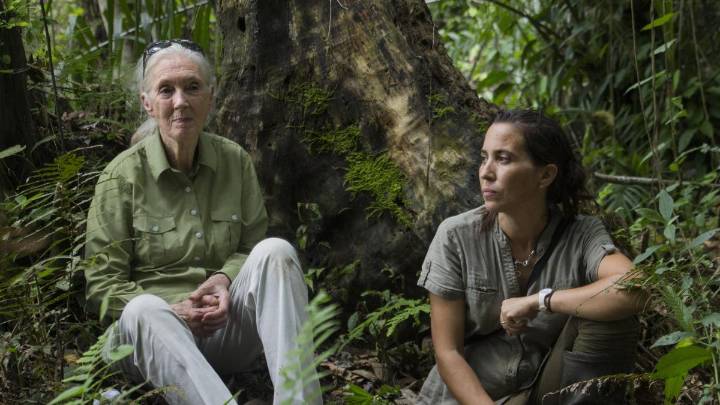 Las otras Jane Goodall