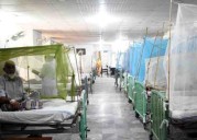 Rising dengue cases in hospitals suggest outbreak-like situation in Pakistan’s Karachi, Hyderabad