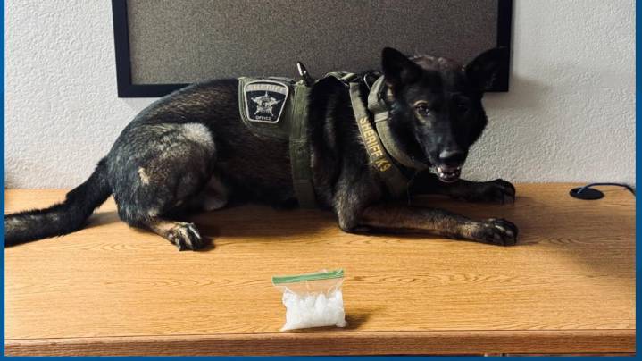 Milam County K9 Deputy finds suspected methamphetamine during traffic stop