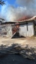 Dogs rescued from burning barn in San Martin