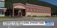 Students to return to school after bats found