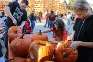 Highwood celebrates 15th Great Highwood Pumpkin Festival
