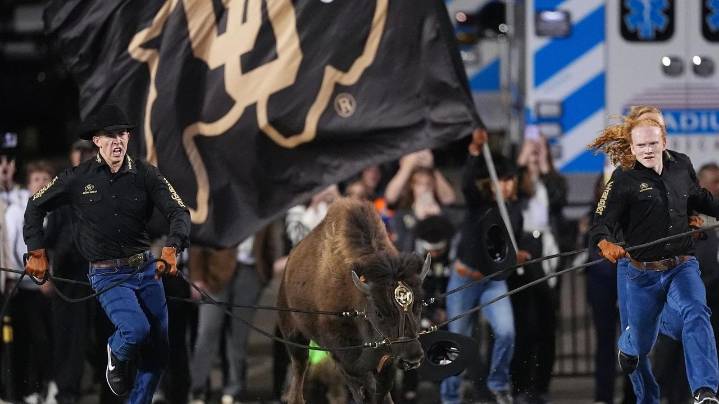 Colorado's live mascot Ralphie VII earns nickname 'Brandy' after classic rock hit by Looking Glass