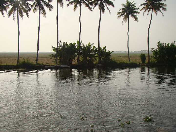 The Strike In Kuttanad That Made History