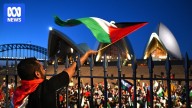 NSW Police hold 'significant concerns' about planned pro-Palestinian march to Sydney Opera House