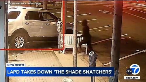 Los Angeles police take down smash-and-grab burglary ring dubbed 'The Shade Snatchers'