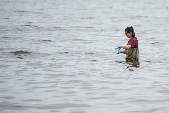 This beach was the most frequently closed in Michigan this year