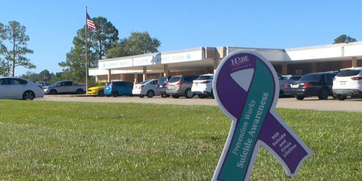 EBR Schools recognizing World Mental Health Day