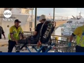 Man survives bite to the head from shark