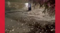 Maumee hit by second water main break in 12 hours