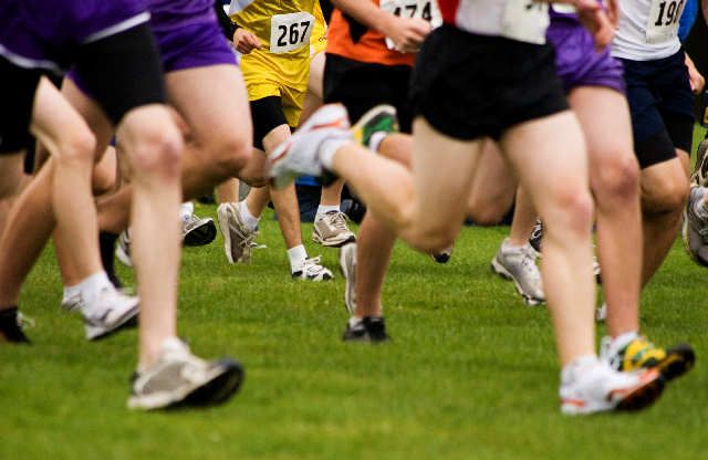 Cross Country: 60 area athletes in state meet