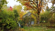 9 garden tasks you should do in October